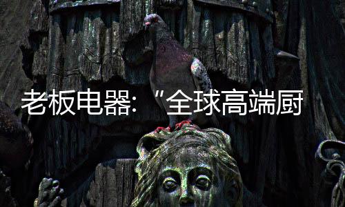 专业生产吸油烟机、电器当前