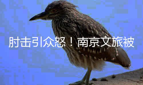 引众杨笑比赛结束后