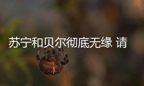 险太也就是苏宁圣花说