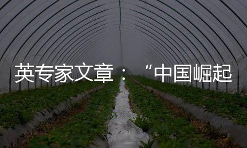 他们认为如果中国“行得正”