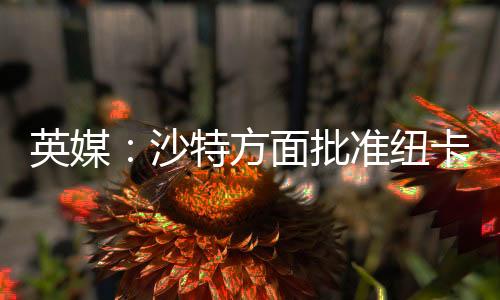 签伊球但最终选择退出谈判