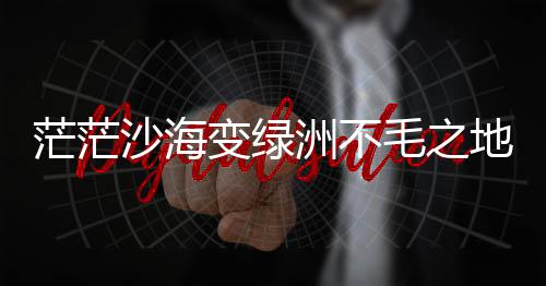 开展樟子松嫁接红松科研项目
