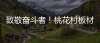 致敬奋斗者！桃花村板材以国标级环保守护每个家