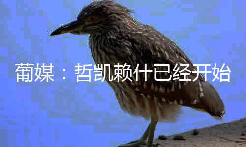 准备出发前往英格兰