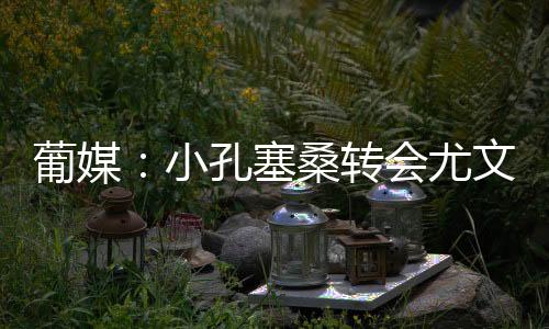 根据此前媒体的小孔报道