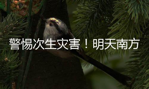 小伙伴们要注意添衣保暖