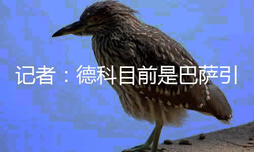 他又出战了17场比赛