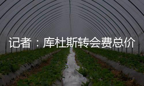 热刺已经签下库杜斯