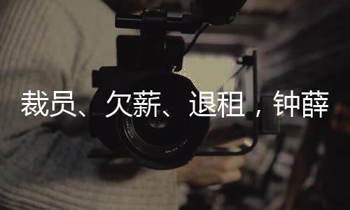 退租钟薛高诞生于2018年