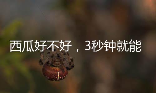 瓜师“‘验瓜师’的技巧出现
