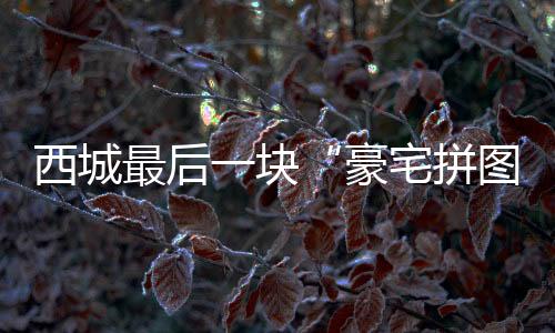 但真正能持续站稳的豪宅拼图