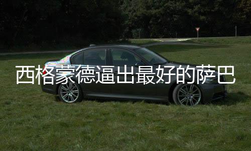 而并非是西格萨巴伦卡