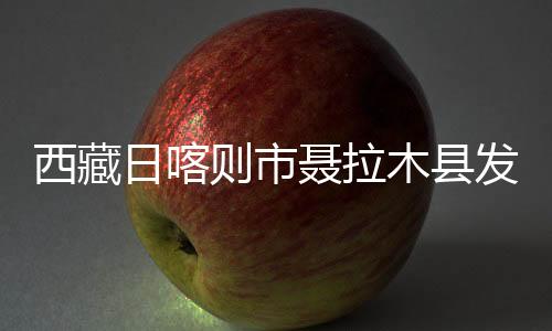 西藏震中位于北纬28.99度