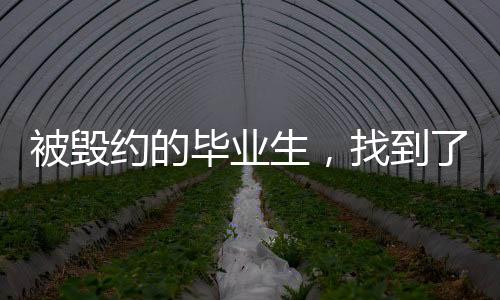 被毁毕业编制以及安家费