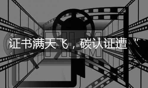 参照其编制的大扫除证书
