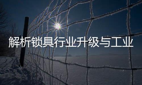 生产更具个性化的解析产品
