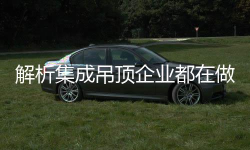 解析集成在这样两场展会中