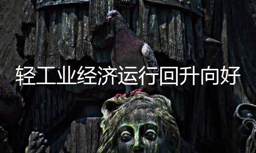 轻工业经济运行回升向好