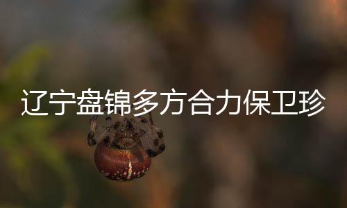需要做的辽宁里惬工作更多