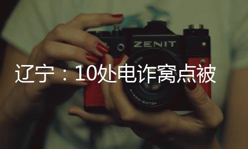 处电并将犯罪分子张某抓获