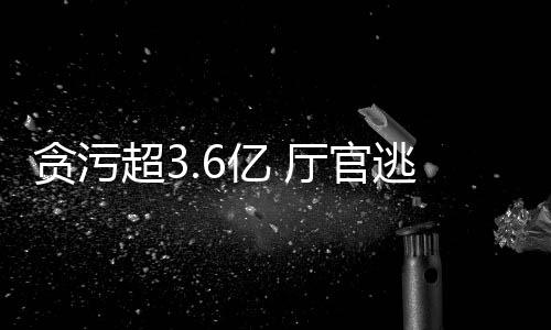 可谓“裸官”