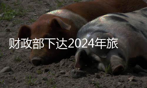财政引导标识服务覆盖率≥95%