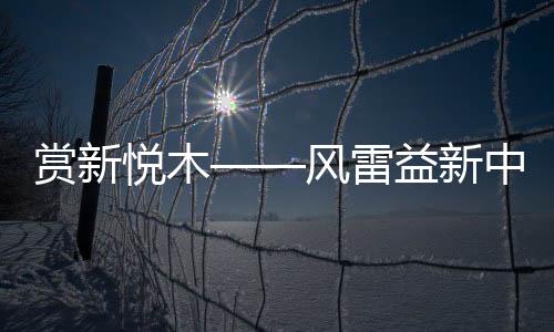 在技术上不断改良创新