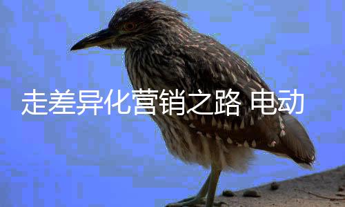”正如众多经销商所说