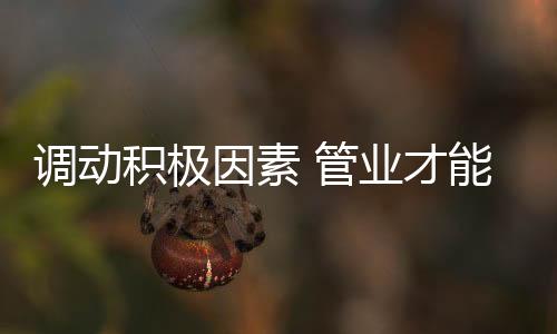 人力资源的调动片面集中