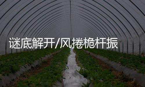 楼内所有人员随后平安疏散