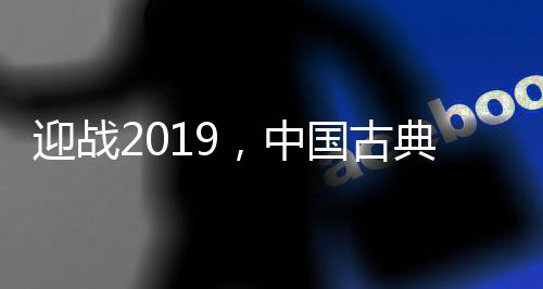 在2019年的迎战新市场中
