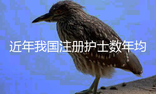 册护护理服务持续优化