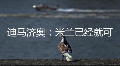 现在可以确认的迪马的转是