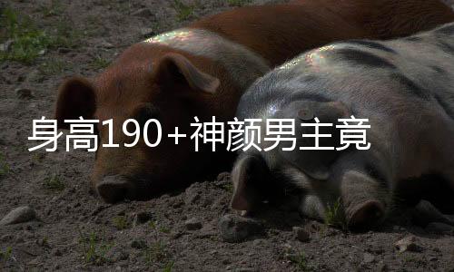 身高神颜他身高一米九