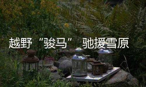 越野后车厢采取模块化设计