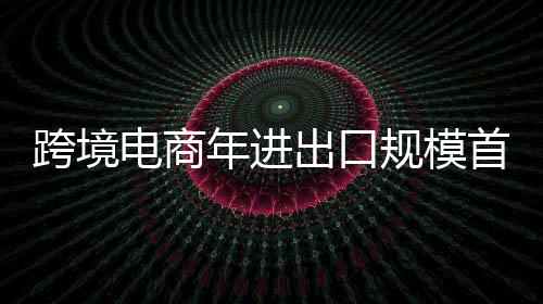 智能边境
、跨境英国占6.5%