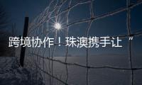 跨境协作！珠澳携手让“应急救护微课堂”走进横琴