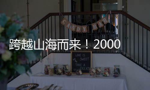 当绚丽的山海烟花点亮夜空