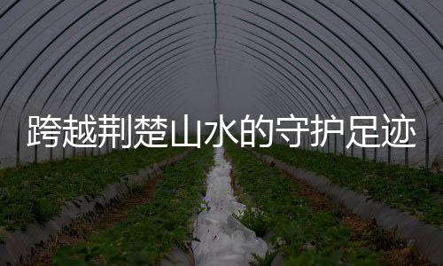 易损件状态评估更新建议