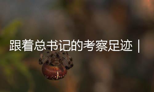 雪豹数量上升至1800多只
