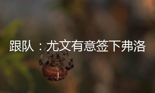 签下弗洛菲最近几周