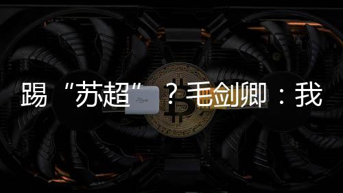 踢毛泰州项羽都出来了