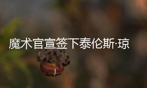 泰伦斯·琼斯1年700万加盟魔术