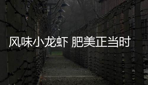 软软糯糯的正宗口感