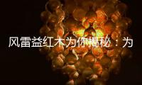 风雷益红木为你揭秘：为何红木家具这么贵?