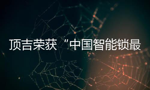 顶吉智能锁严把质量关