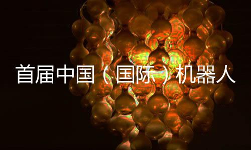 国际赛事安排和创新点