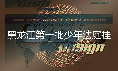 江第法治宣传等工作