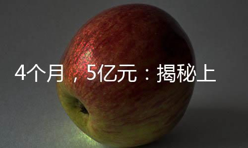 做了总量和占比个月统计