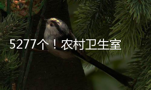 卫生人员平均超过7人